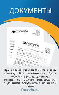 Сертификат на годовое обслуживание в ветклинике Vetstate